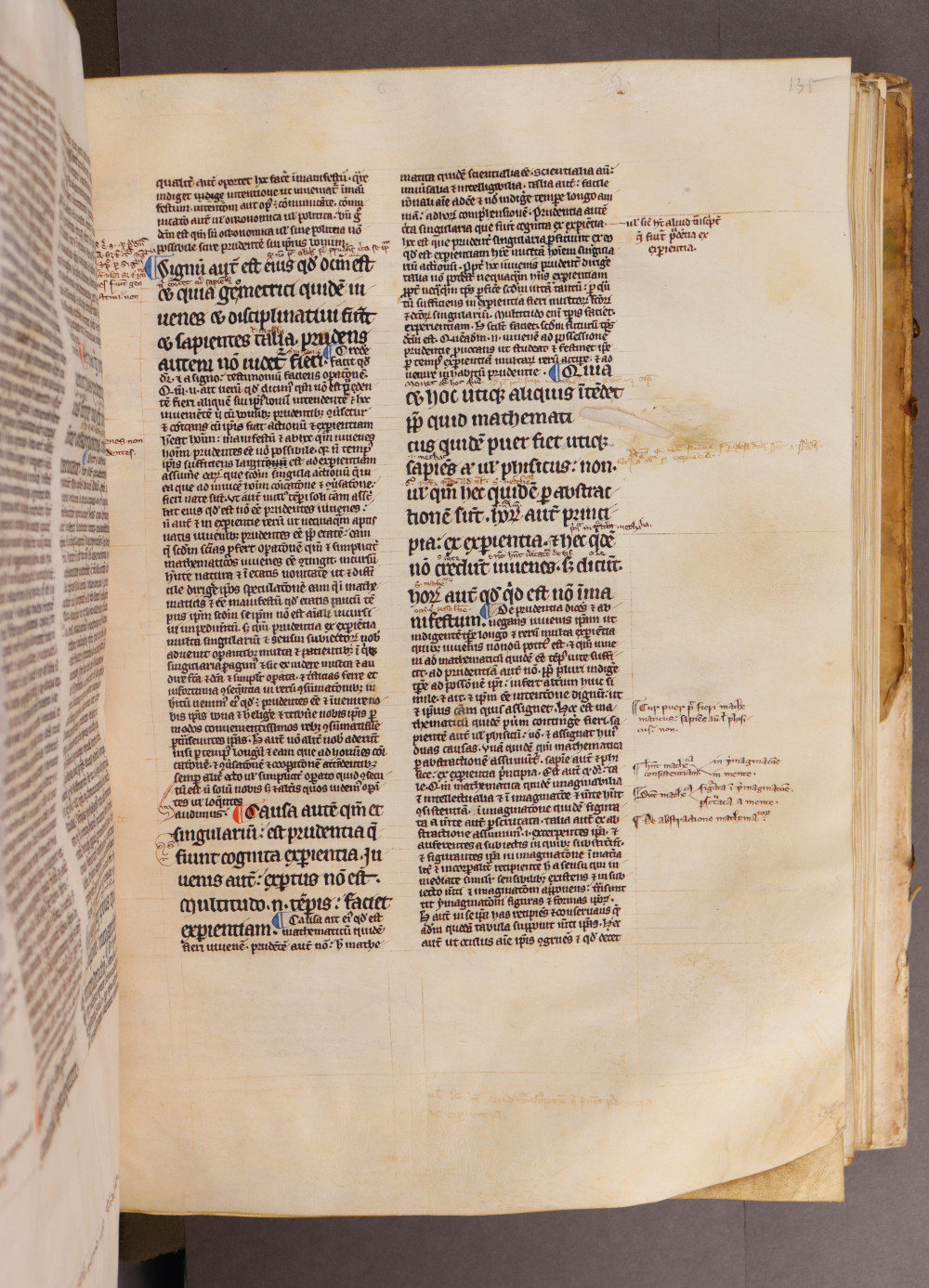 Folio 135 recto